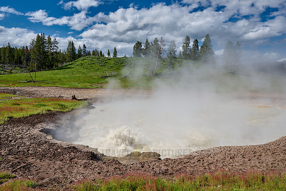 Churning Caldron, Mud Volcano Area