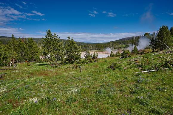 Cooking Hillside, Mud Volcano Area