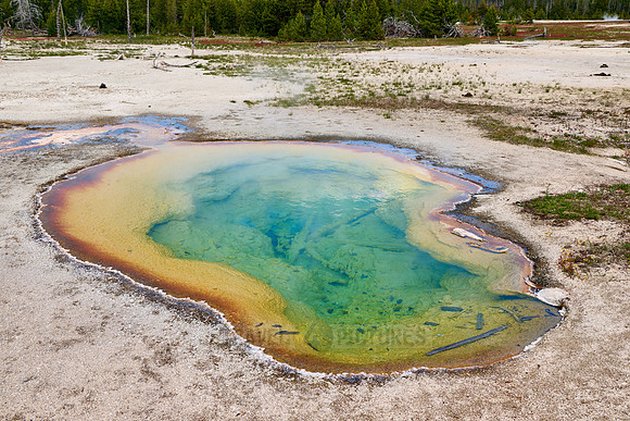 West Geyser, Biscuit Basin
