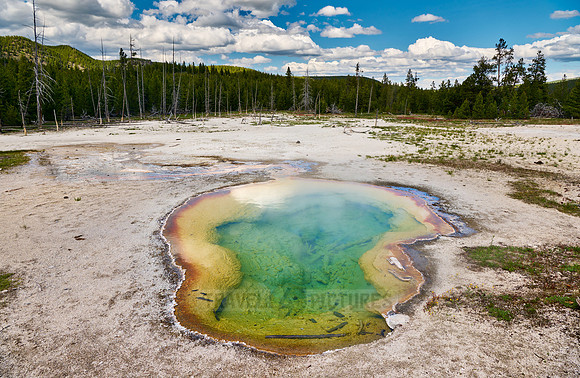 West Geyser, Biscuit Basin