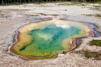 West Geyser, Biscuit Basin