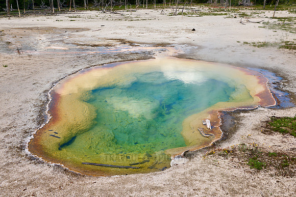 West Geyser, Biscuit Basin