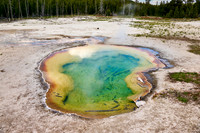 West Geyser, Biscuit Basin