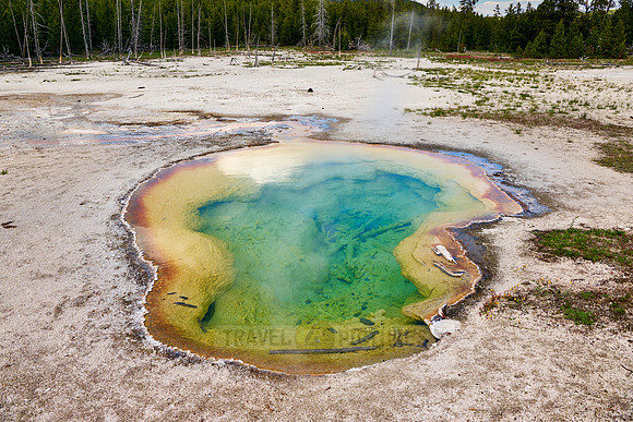 West Geyser, Biscuit Basin