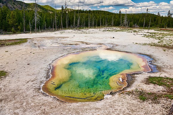 West Geyser, Biscuit Basin