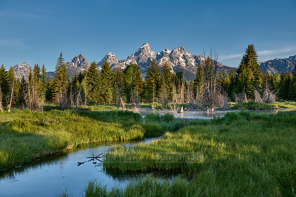 Grand Teton Range with reflection in river at Schwabacher Landing