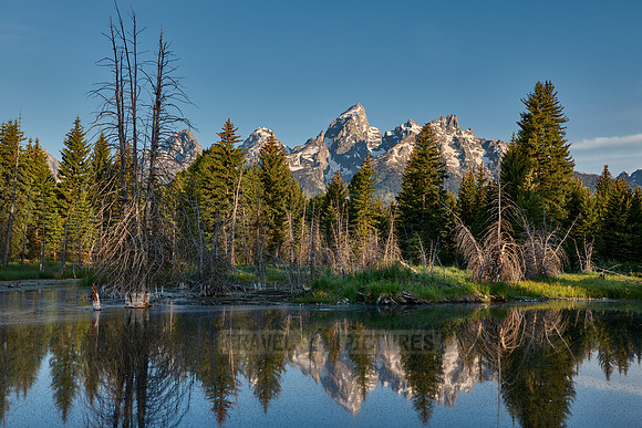 Grand Teton Range with reflection in river at Schwabacher Landing