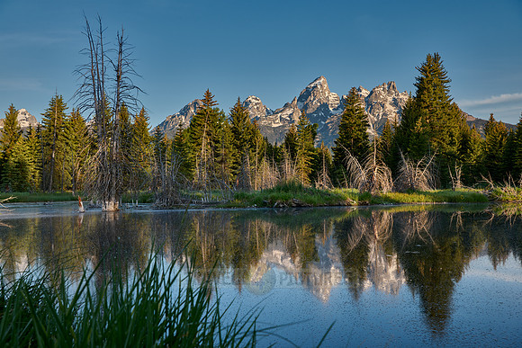 Grand Teton Range with reflection in river at Schwabacher Landing