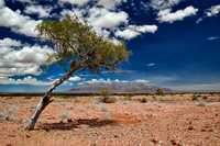 Brandberg Mountain
