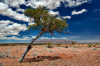 Brandberg Mountain