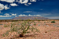 Brandberg Mountain