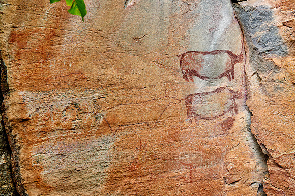 Rhinos and a cow-like figure, ancient San painting