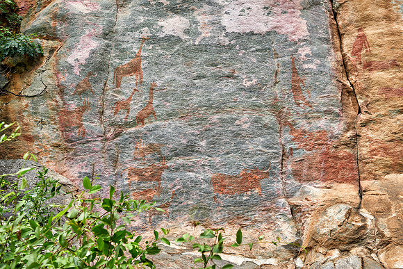 Rock art, ancient San paintings, Tsodilo Hills