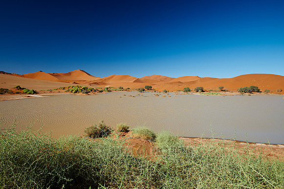desert landscape of Namib at Sossusvlei