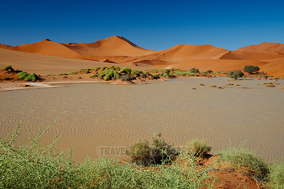 desert landscape of Namib at Sossusvlei
