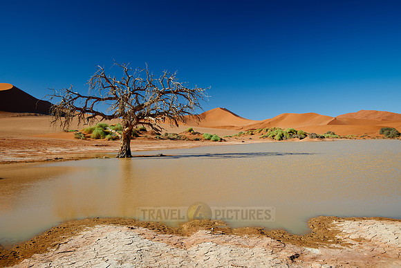 desert landscape of Namib at Sossusvlei