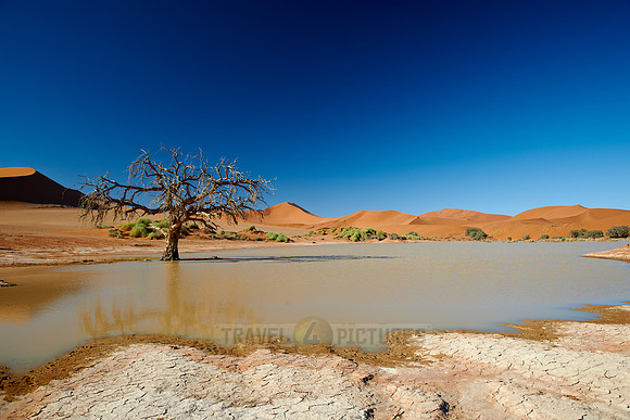 desert landscape of Namib at Sossusvlei