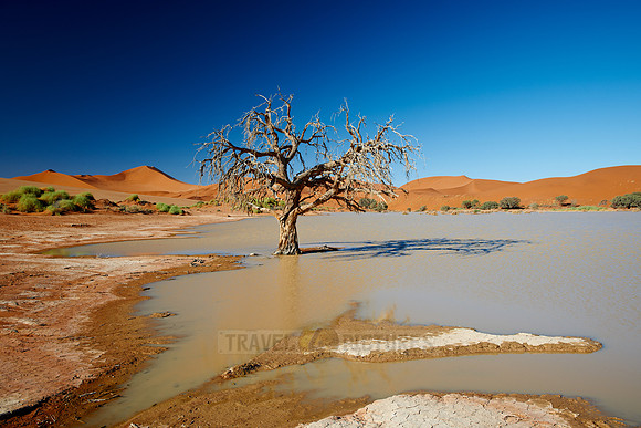 desert landscape of Namib at Sossusvlei