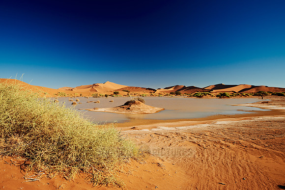 desert landscape of Namib at Sossusvlei