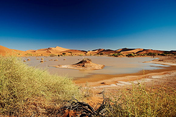 desert landscape of Namib at Sossusvlei