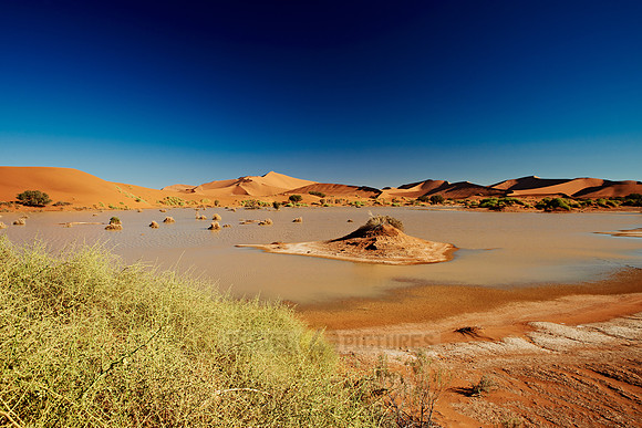 desert landscape of Namib at Sossusvlei