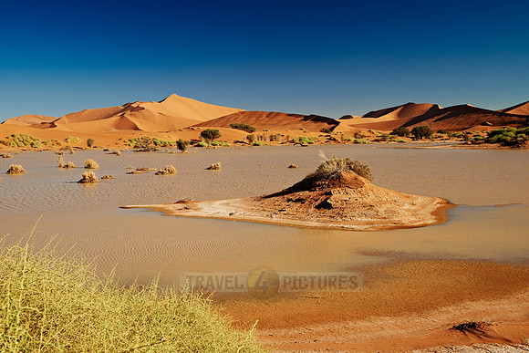 desert landscape of Namib at Sossusvlei