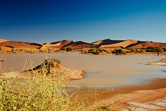 desert landscape of Namib at Sossusvlei