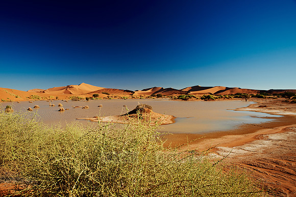 desert landscape of Namib at Sossusvlei