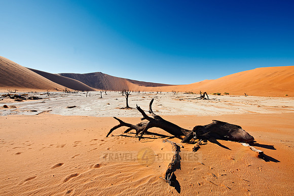 Deadvlei, famous desert landscape of Namib