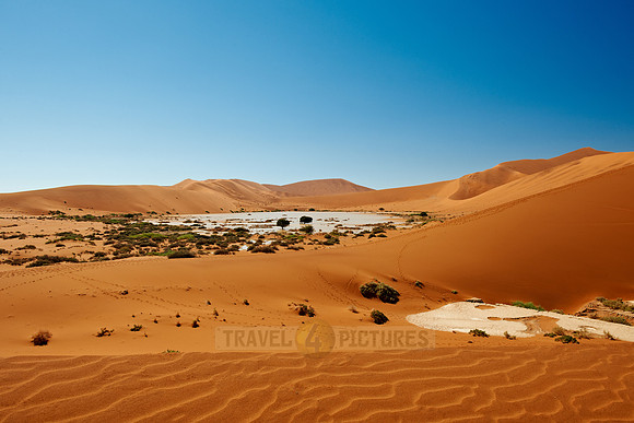 desert landscape of Namib at Sossusvlei