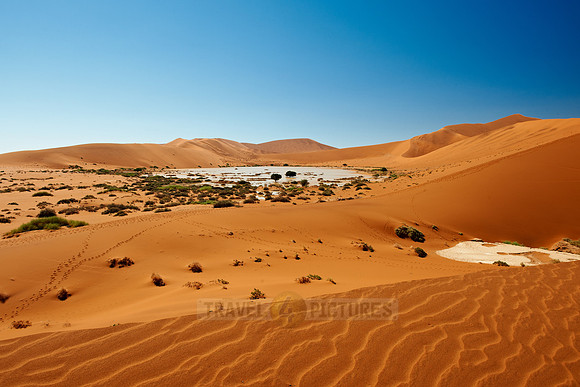 desert landscape of Namib at Sossusvlei