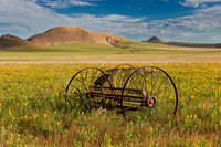 landscape at Tsondab Valley Desert Farm