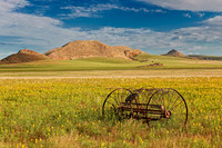landscape at Tsondab Valley Desert Farm