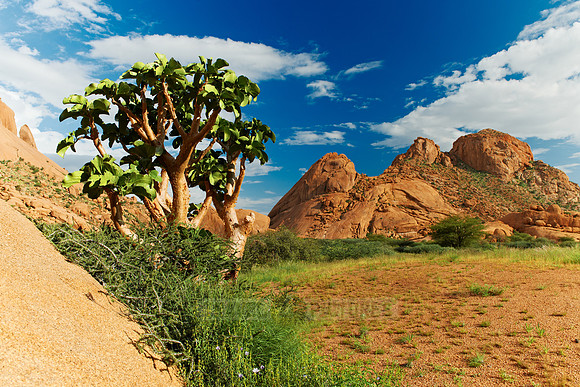 Spitzkoppe, mountain landscape