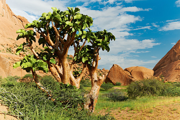 Spitzkoppe, mountain landscape