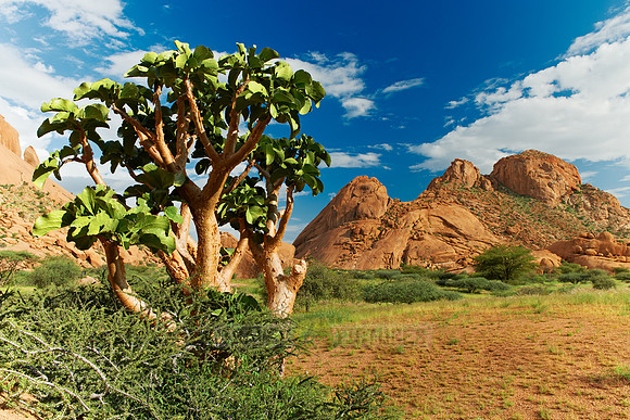 Spitzkoppe, mountain landscape