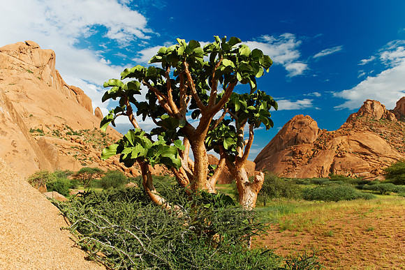 Spitzkoppe, mountain landscape