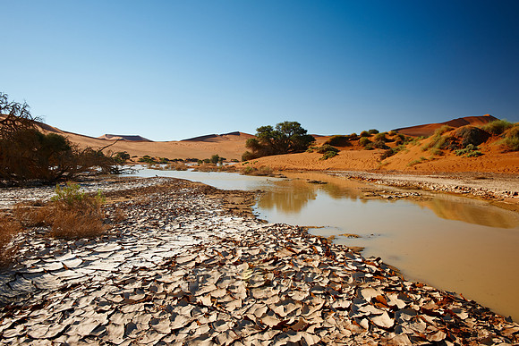 desert landscape of Namib at Sossusvlei
