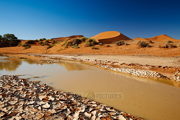 desert landscape of Namib at Sossusvlei