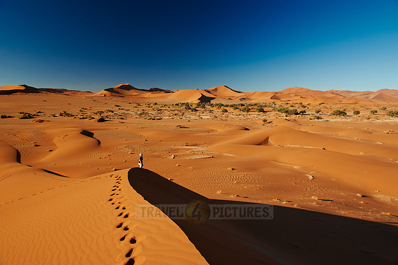 person on dune in desert landscape of Namib