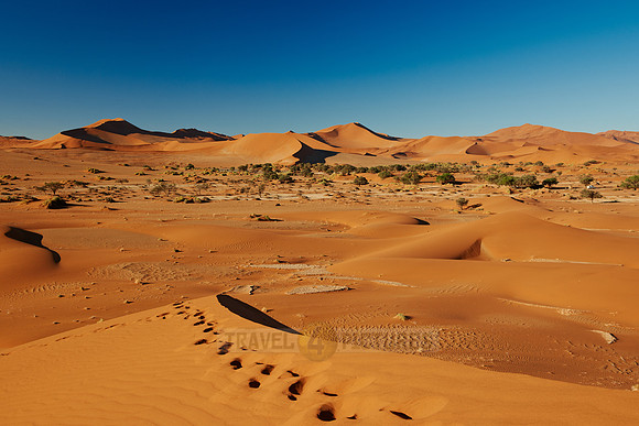 dunes in desert landscape of Namib