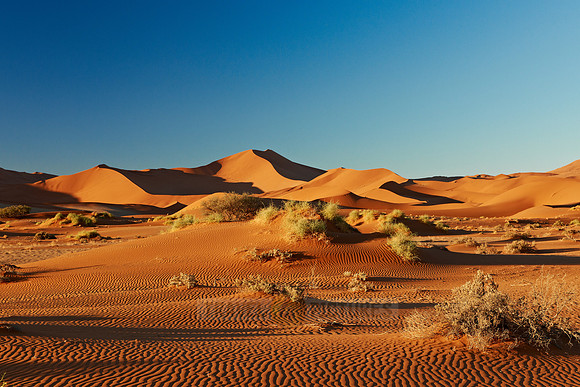 desert landscape of Namib at Sossusvlei