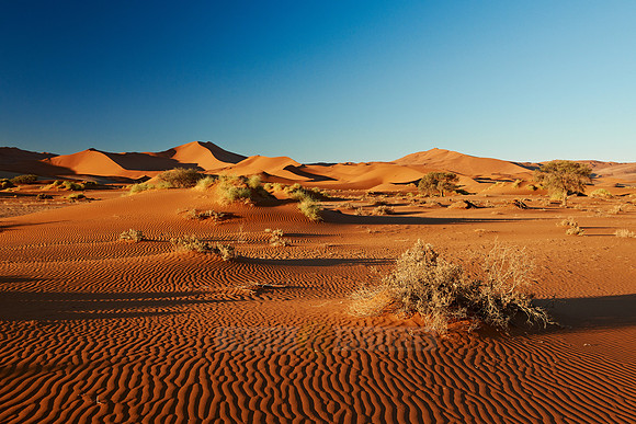 desert landscape of Namib at Sossusvlei