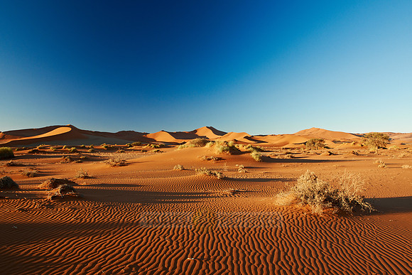 desert landscape of Namib at Sossusvlei