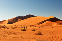 desert landscape of Namib at Sossusvlei