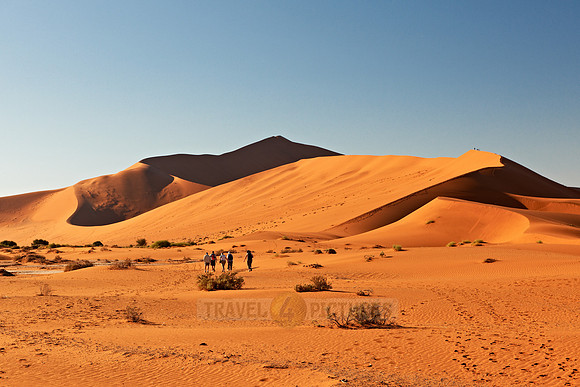 desert landscape of Namib at Sossusvlei