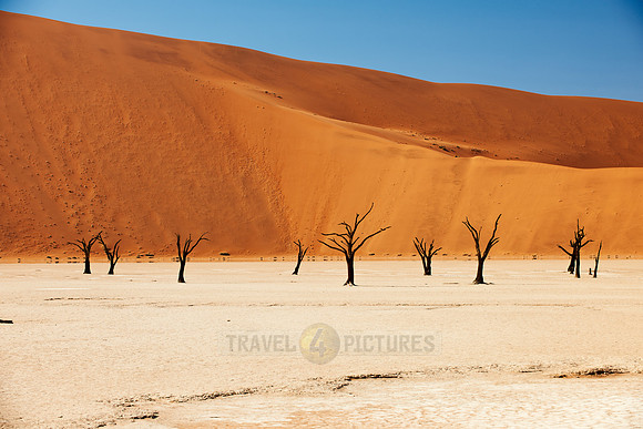 Deadvlei, famous desert landscape of Namib