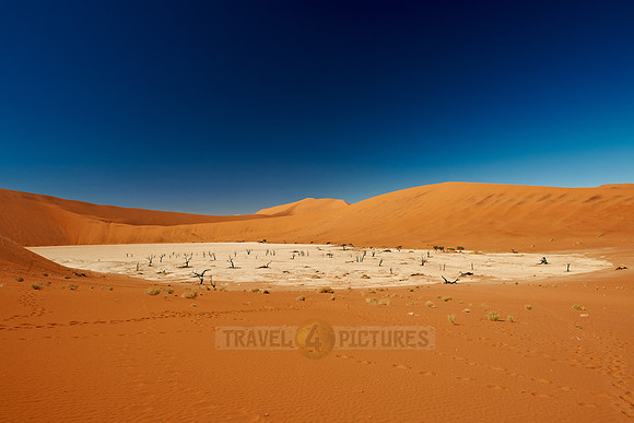 Deadvlei, famous desert landscape of Namib