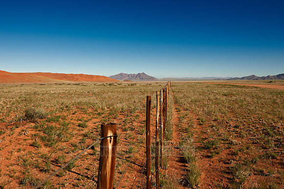 endless fence in desert landscape