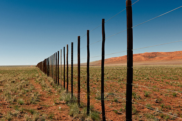 endless fence in desert landscape
